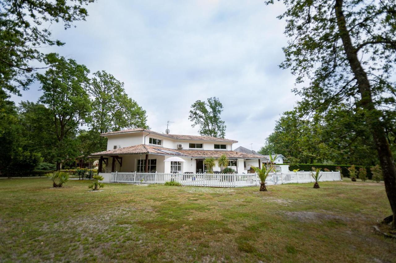 La Villa Minvia Les Landes Entre Mer Et Montagne Saint-Vincent-de-Paul  Exterior photo